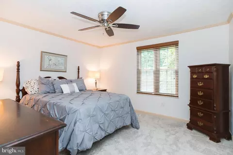 8482 Magic Tree Ct, Springfield, VA 22153 photo 13