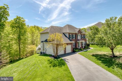 8101 Chars Landing Ct, Springfield, VA 22153 photo 97