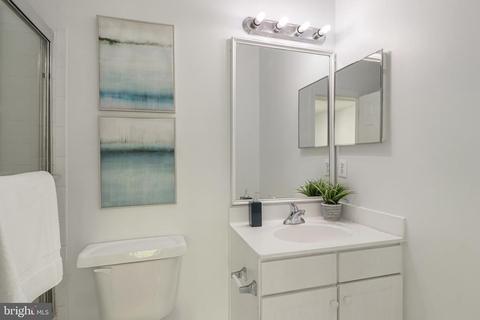 8101 Chars Landing Ct, Springfield, VA 22153 photo 84