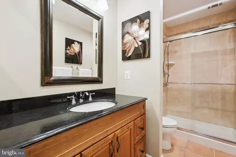 11436 Links Dr, Reston, VA 20190 photo 24
