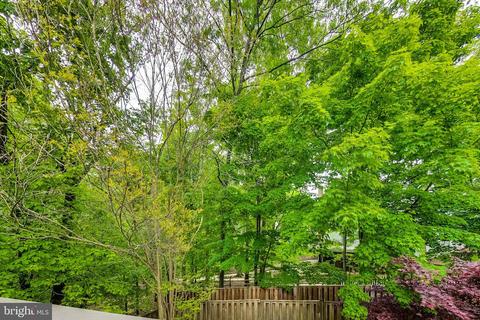 7101 Tanworth Dr, Springfield, VA 22152 photo 46