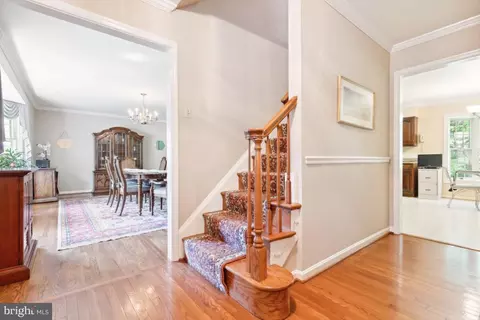 6010 Nassau Dr, Springfield, VA 22152 photo 7