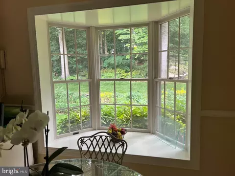 6010 Nassau Dr, Springfield, VA 22152 photo 14