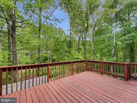5545 Mitcham Ct, Springfield, VA 22151 photo 32