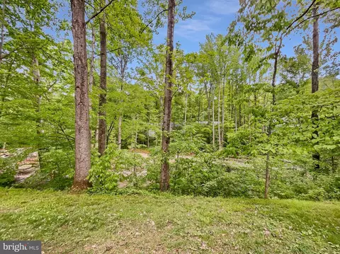 5545 Mitcham Ct, Springfield, VA 22151 photo 31