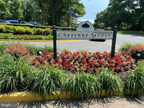 11220 Chestnut Grove Sq #322, Reston, VA 20190