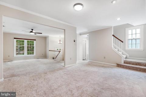 7218 Gentian Ct, Springfield, VA 22152 photo 15