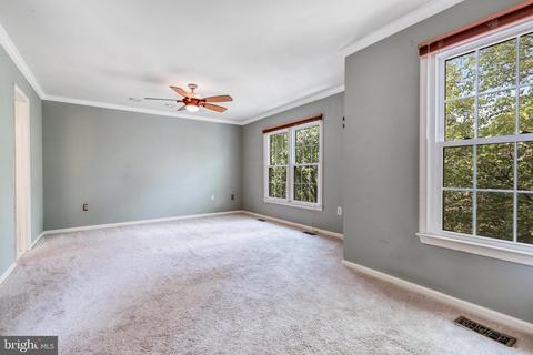 7218 Gentian Ct, Springfield, VA 22152 photo 28