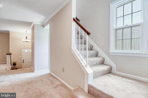 7218 Gentian Ct, Springfield, VA 22152 photo 26