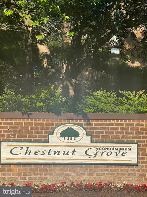 11240 Chestnut Grove Sq #31, Reston, VA 20190