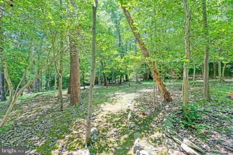 2324 Staley Rd, Reston, VA 20191 photo 83