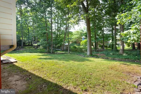 6800 Rolling Rd, Springfield, VA 22152 photo 8