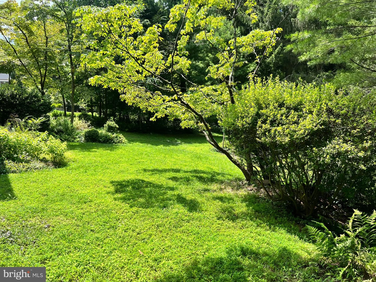 1940 Rockingham St, Mclean, VA 22101 photo 3