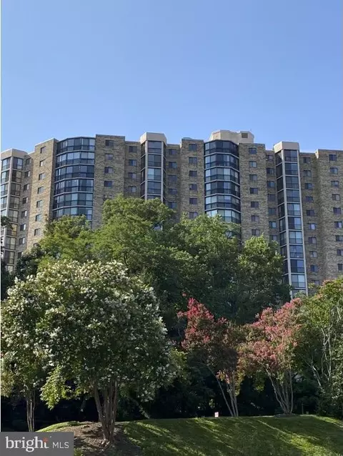 5902 Mount Eagle Dr #707, Alexandria, VA 22303