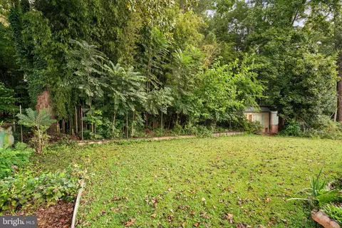 7514 Jervis St, Springfield, VA 22151 photo 36