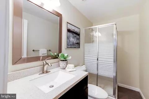 13172 Ruby Lace Ct, Herndon, VA 20171 photo 45