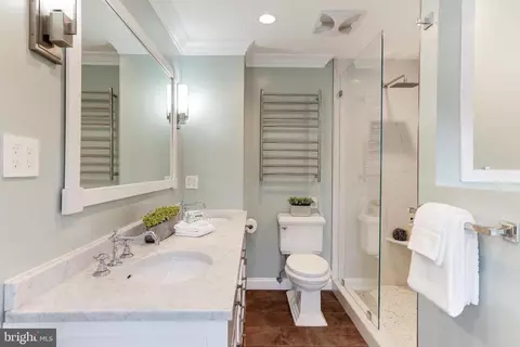 13172 Ruby Lace Ct, Herndon, VA 20171 photo 26