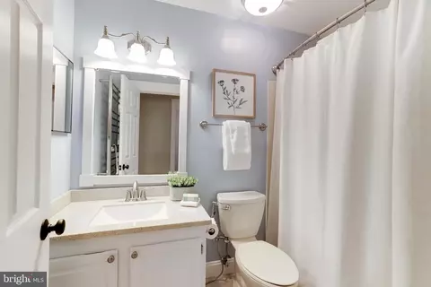 13172 Ruby Lace Ct, Herndon, VA 20171 photo 37
