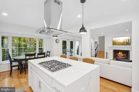 1720 Chesterbrook Vale Ct, Mclean, VA 22101 photo 5
