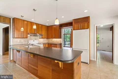 11233 S Shore Rd, Reston, VA 20190 photo 17