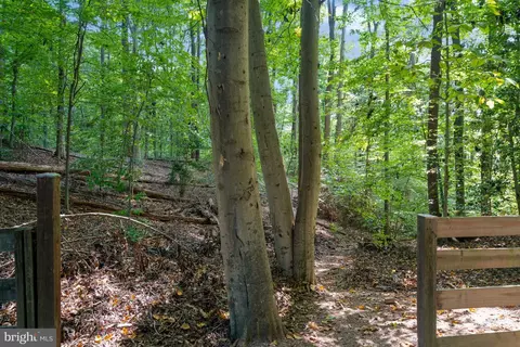 6808 Vienna Ct, Springfield, VA 22152 photo 46