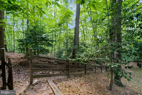 6808 Vienna Ct, Springfield, VA 22152 photo 45