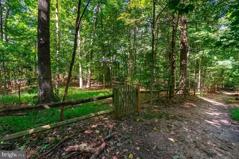 2403 Bugle Ln, Reston, VA 20191 photo 5