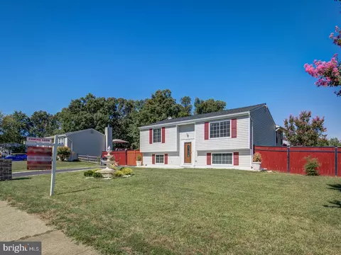 4520 Cub Run Rd, Chantilly, VA 20151 photo 4