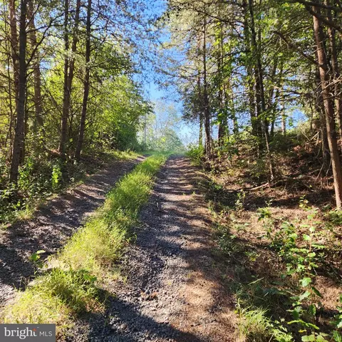 14211 Compton Rd, Centreville, VA 20121 photo 2