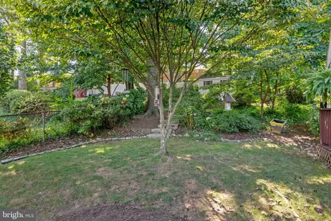 7533 Murillo St, Springfield, VA 22151 photo 43