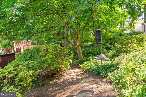 7533 Murillo St, Springfield, VA 22151 photo 35