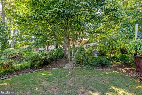 7533 Murillo St, Springfield, VA 22151 photo 42