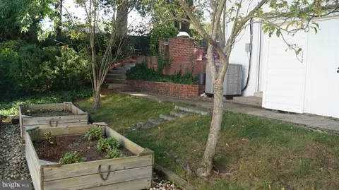 7412 Flora St, Springfield, VA 22150 photo 37