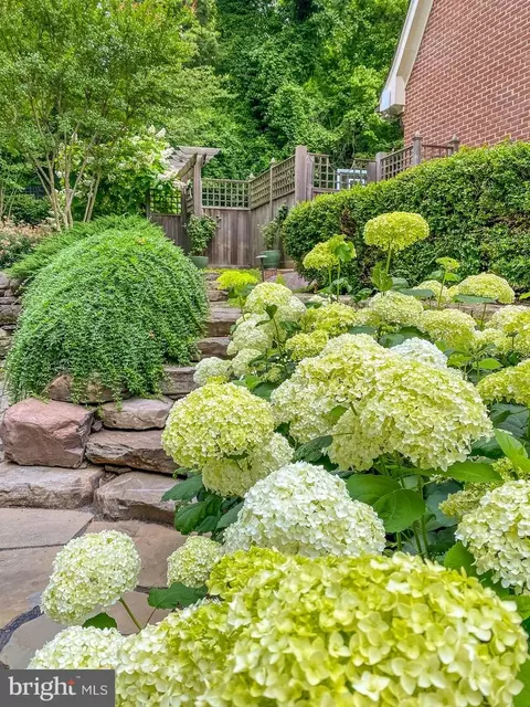 Exterior - 6622 Malta Ln, Mclean, VA 22101 photo 6 of 19