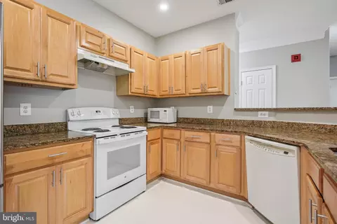 1530 Spring Gate #9209, Mclean, VA 22102 photo 8