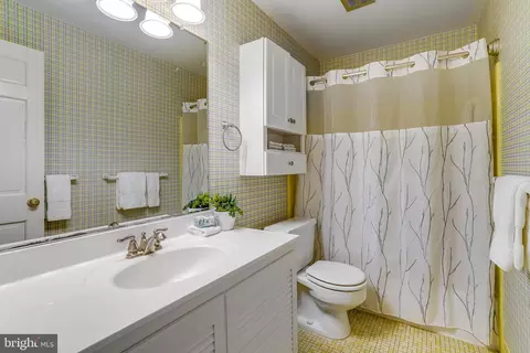 6804 Melrose Dr, Mclean, VA 22101 photo 39