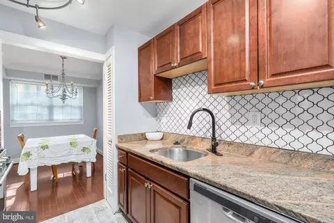 7096 Spring Garden Dr #TL1, Springfield, VA 22150 photo 28