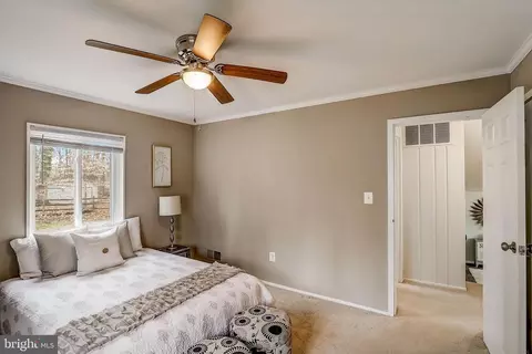 7002 Catlett St, Springfield, VA 22151 photo 23