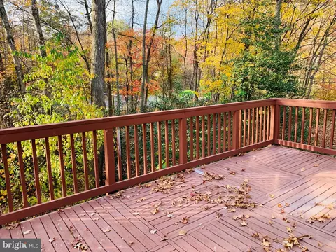 6256 Levi Ct, Springfield, VA 22150 photo 46