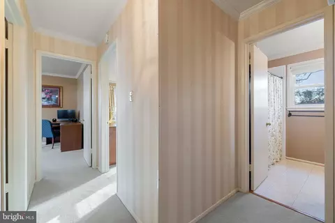 5209 Light St, Springfield, VA 22151 photo 34