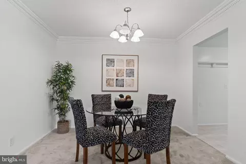 7680 Tremayne Pl #305, Mclean, VA 22102 photo 8