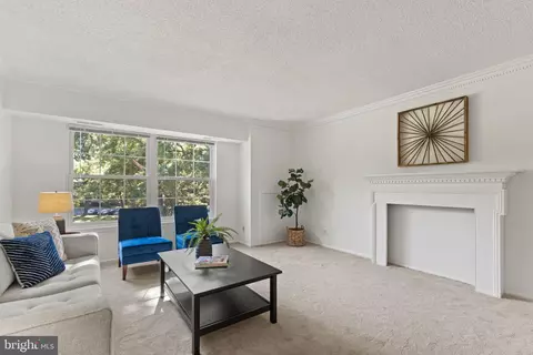 7680 Tremayne Pl #305, Mclean, VA 22102 photo 5