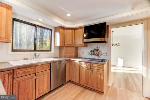 11507 Purple Beech Dr, Reston, VA 20191 photo 15