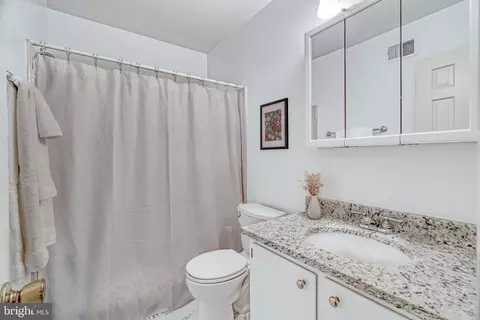 Bath - 1126 Pine Hill Rd, Mclean, VA 22101 photo 4 of 5