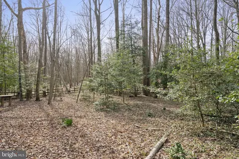 View/Area - 2516 Soapstone Dr, Reston, VA 20191 photo 3 of 4