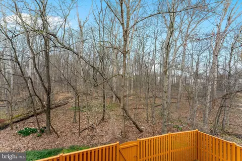 Exterior - 14846 Basingstoke Loop, Centreville, VA 20120 photo 6 of 8
