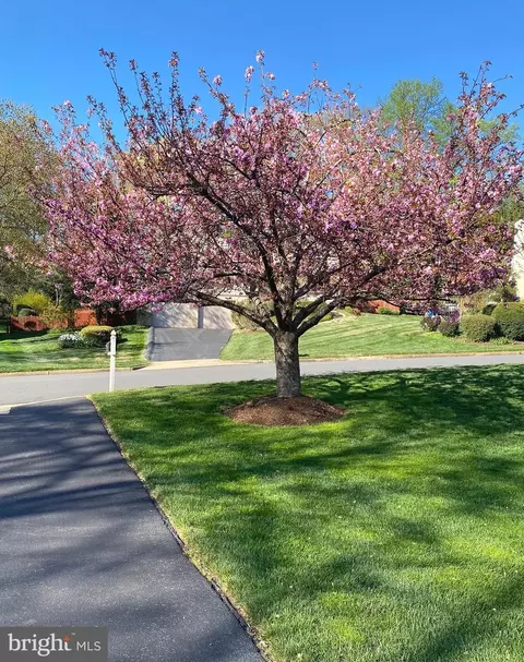 Exterior - 7740 Bridle Path Ln, Mclean, VA 22102 photo 2 of 18