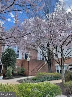 7029 I Haycock Rd #409, Falls Church, VA 22043