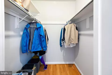 Other - 6041 Forrest Hollow Ln, Springfield, VA 22152 photo 5 of 8