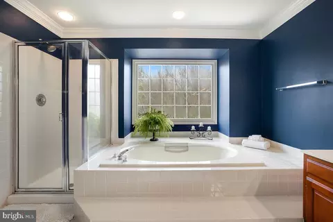 Bath - 13002 Cockerill Ct, Herndon, VA 20171 photo 3 of 6